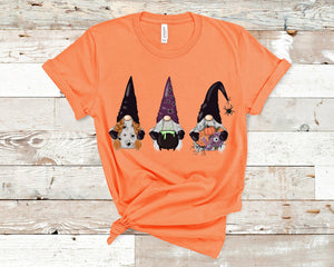 Halloween Cauldron Gnomes T-Shirt (Made to Order)